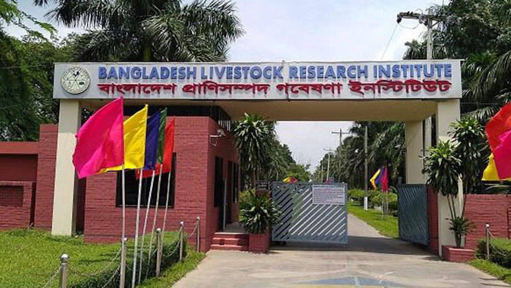 জনবল নেবে প্রাণিসম্পদ গবেষণা ইনস্টিটিউট