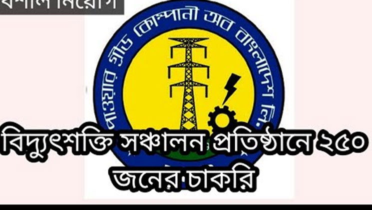বিদ্যুৎশক্তি সঞ্চালন প্রতিষ্ঠানে ২৫০ জনের চাকরি