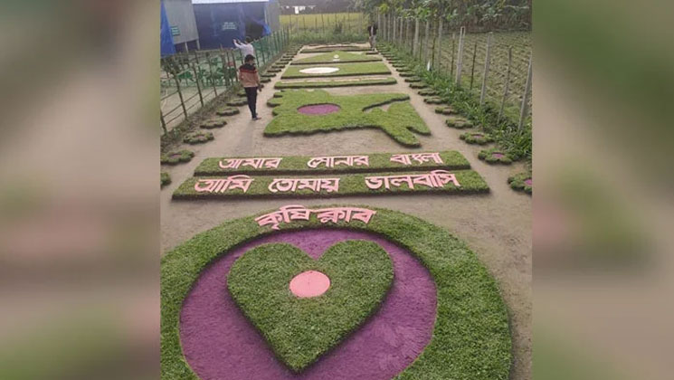 ঘাসে কারুকার্য আমার সোনার বাংলা আমি তোমায় ভালবাসি