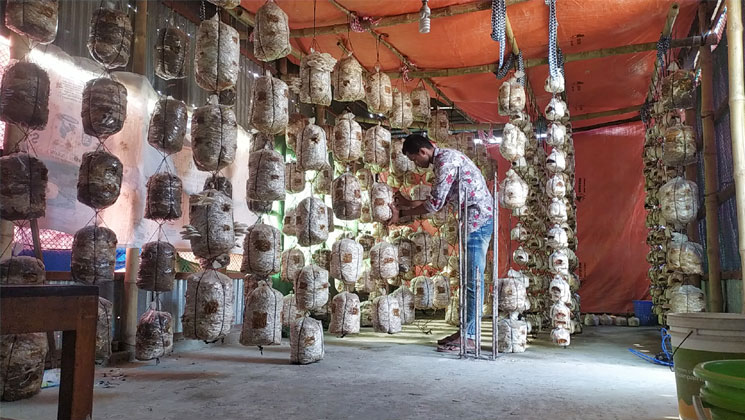 বাড়ির ছাদে স্কুলছাত্রের মাসে আয় ৩০ হাজার টাকা 