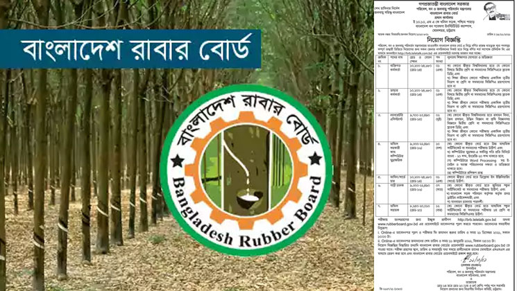 এসএসসি পাসে বাংলাদেশ রাবার বোর্ডে চাকরির সুযোগ