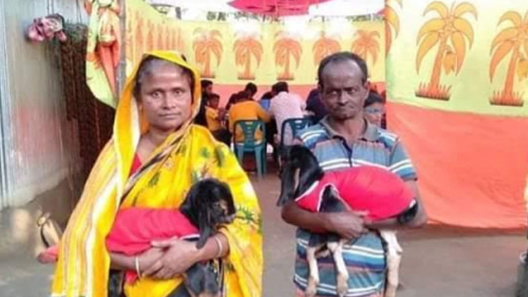 ছাগলের খৎনায় ৩০০ মানুষের ভূরিভোজ নিঃসন্তান দম্পতির