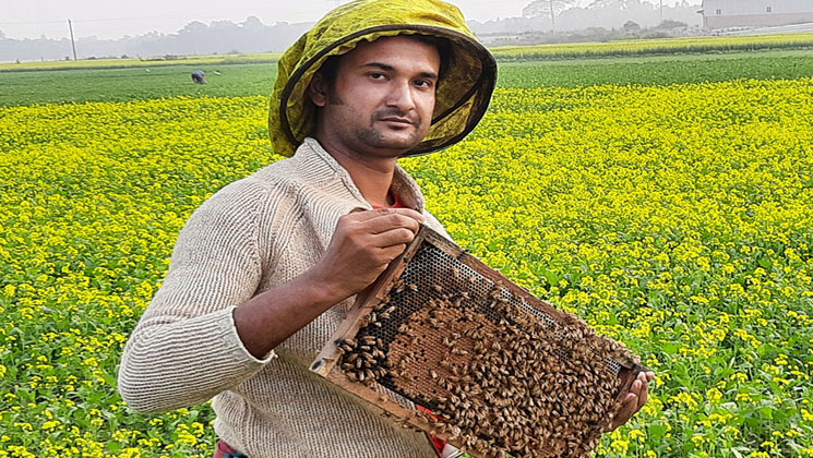 মধু সংগ্রহে ব্যস্ত সময় পার করছেন মৌয়ালীরা