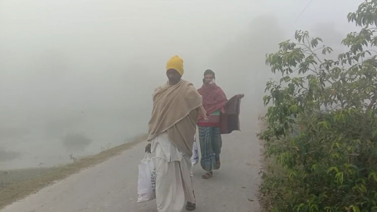 কুয়াশার চাদরে ঢাকা উপকূলীয় এলাকা
