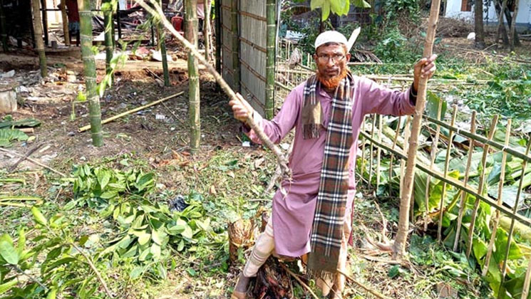 রাউজানে শত্রুতার বলি হলো ২৫০টি গাছ!