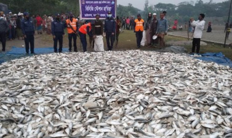 ১৭৫ মণ জাটকা এতিমখানায় বিতরণ