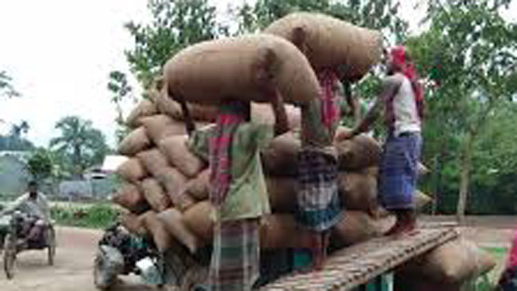 ডিলাররা লুটছেন গরিবের চাল