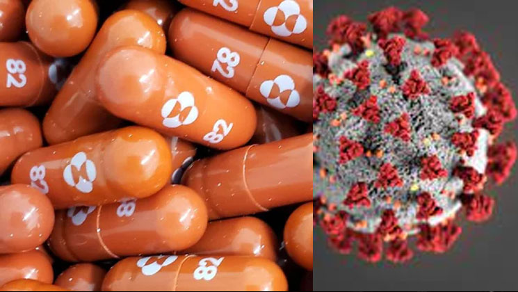 সস্তায় করোনার খাওয়ার ওষুধ পাচ্ছে ১০৫ দেশ, তৈরি হবে বাংলাদেশেও
