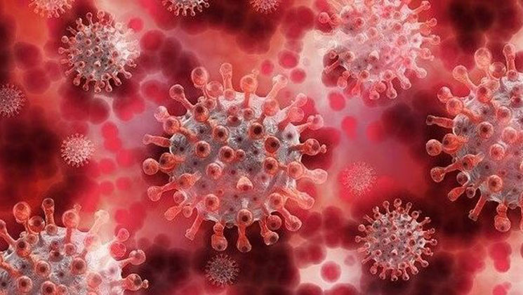 স্বাস্থ্যবিধি উপেক্ষিত সরকারি দপ্তরেই