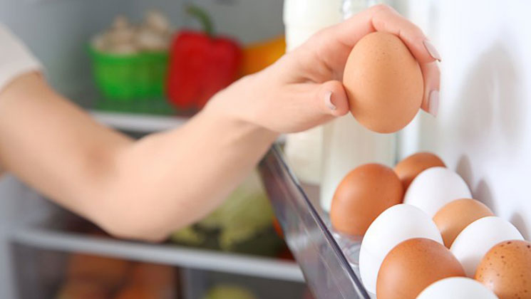 ডিম ফ্রিজে রাখলে যা ঘটে, জানুন বিস্তারিত