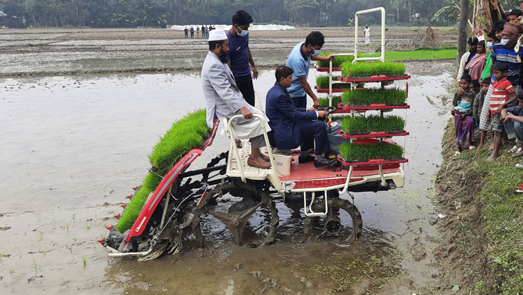 ভোলায় রাইস ট্রান্সপ্লান্টের মাধ্যমে ধানের চারা রোপণ উদ্বোধন