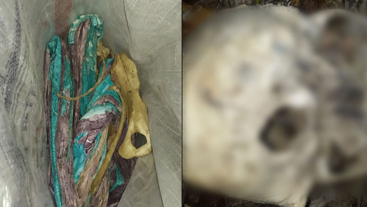 নারীর খুলি, হাড় আর শাড়ি পড়েছিল লাউয়াছড়ায়