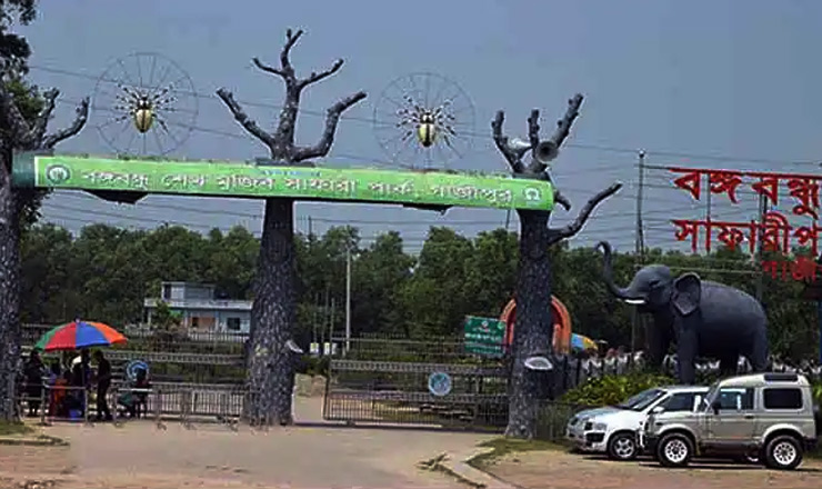 গাজীপুরের সাফারি পার্ক যেন মৃত্যুপুরী
