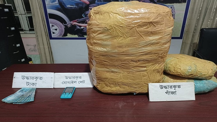 বরগুনার বুড়ীশ্বর নদীর চরে মৃত ডলফিন!