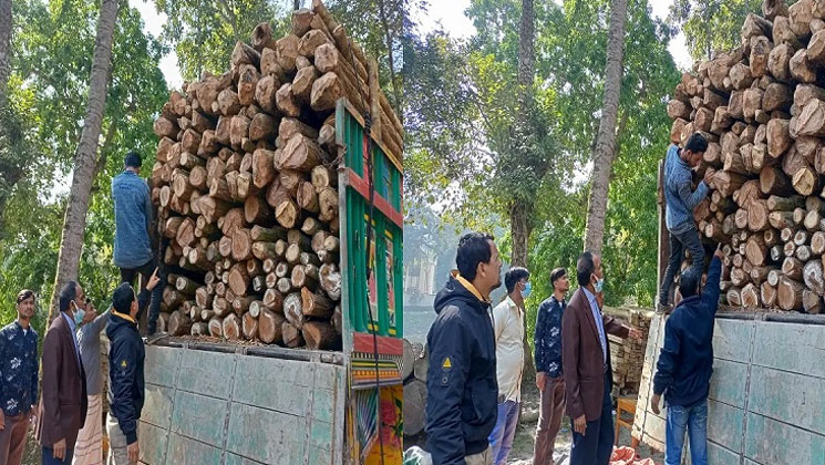 টাঙ্গাইলে পুষ্পা স্টাইলে পাচারকালে বিপুল পরিমাণ কাঠ জব্দ