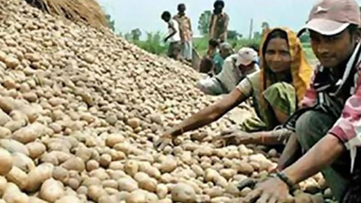 বাংলাদেশ থেকে আলু নিতে চায় শ্রীলঙ্কা