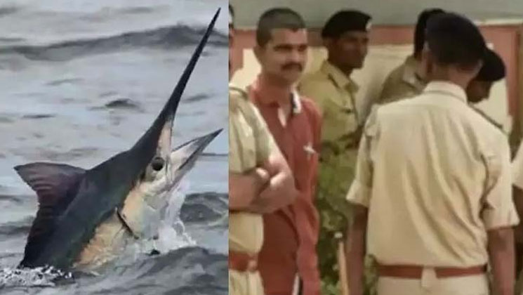জেলের মৃত্যু, মাছের বিরুদ্ধে মামলা পুলিশের!