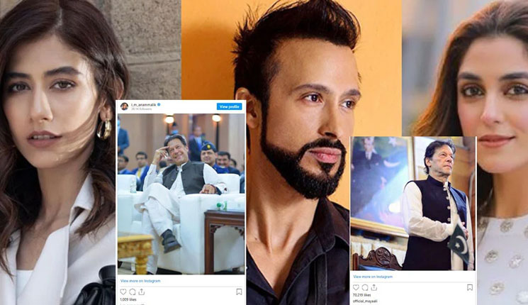 কেন ইমরান খানের পক্ষে পাকিস্তানী তারকারা?