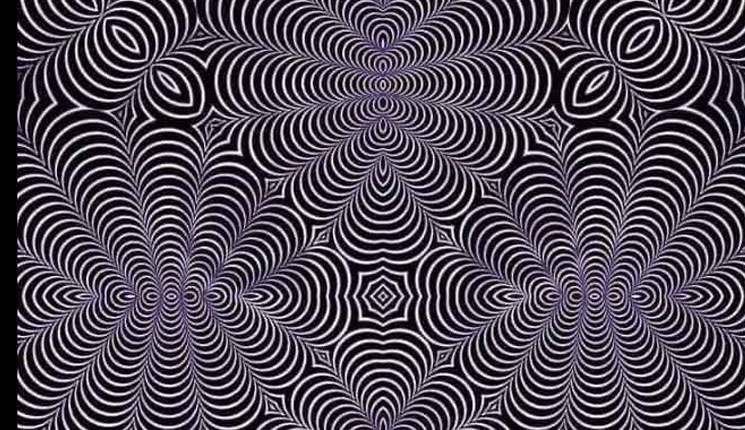 বিড়াল না হরিণ কী দেখছেন ছবিতে? তার উপর নির্ভর করবে আপনি কেমন মানুষ