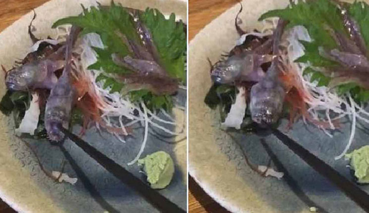 রেস্তোরাঁয় প্লেটের মধ্যে লাফিয়ে উঠল পরিবেশন করা মাছ!(ভিডিও)