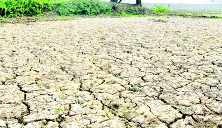 দেশে তীব্র তাপপ্রবাহের আশঙ্কা, প্রভাব পড়বে কৃষিতে