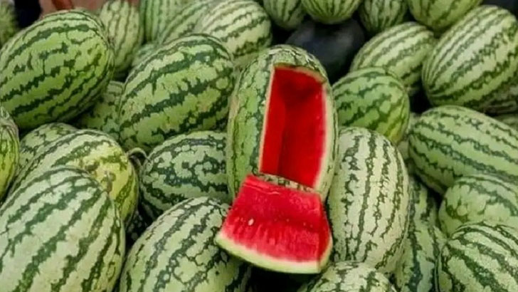 নাগরপুরে তরমুজ বিক্রির ধুম পড়েছে