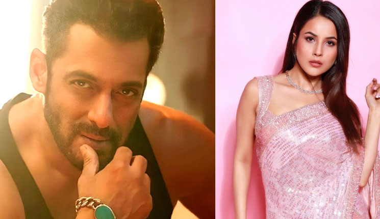 এবার শেহনাজ গিলকে প্রস্তাব দিলেন সালমান খান