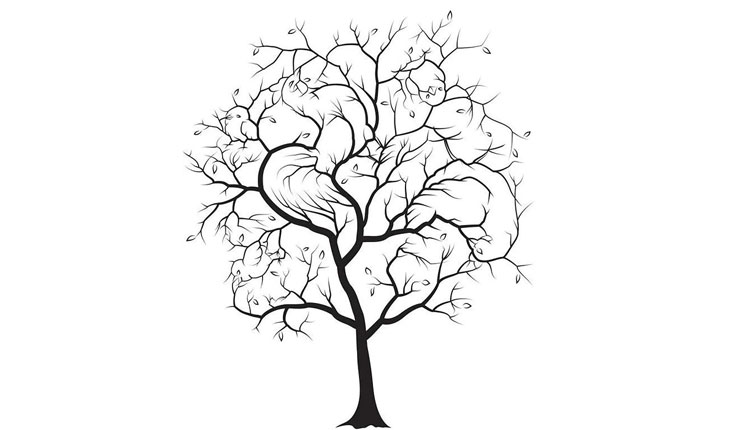 পাঁচটা পাখি লুকিয়ে রয়েছে এই গাছের ডালে, খুঁজে বের করুন তো দেখি