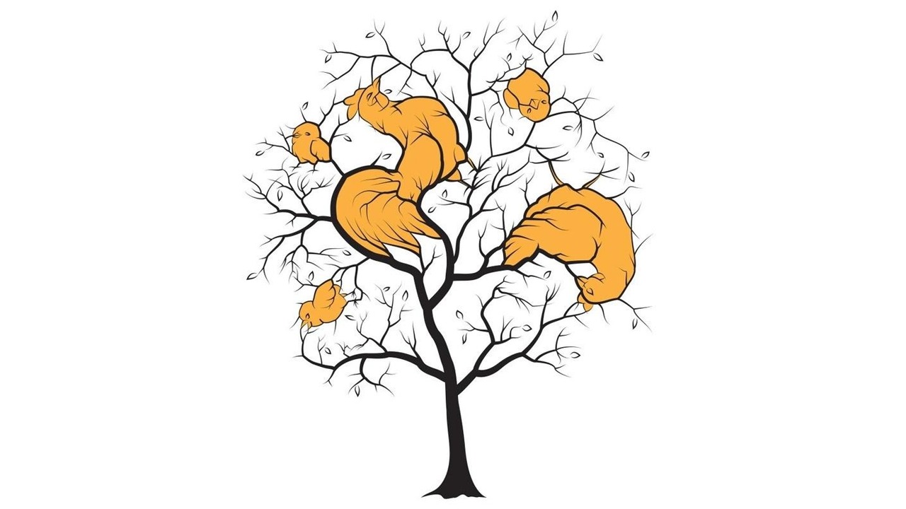 পাঁচটা পাখি লুকিয়ে রয়েছে এই গাছের ডালে, খুঁজে বের করুন তো দেখি