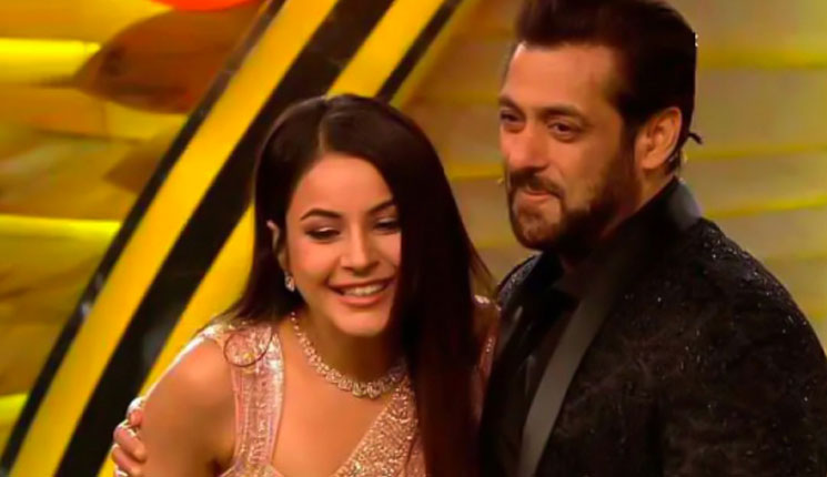 শেহনাজকে প্রস্তাব দিয়েছেন সালমান