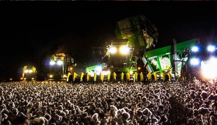 কোনও অনুষ্ঠানে জমায়েত মানুষের ভিড়, ছবিতে যা দেখছেন তা কি সত্যি?