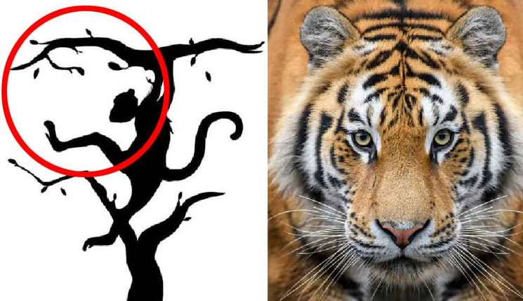 ছবিতে কোন প্রাণী দেখছেন প্রথমে, সেটাই নাকি বলে দেবে আপনার ব্যক্তিত্ব কেমন