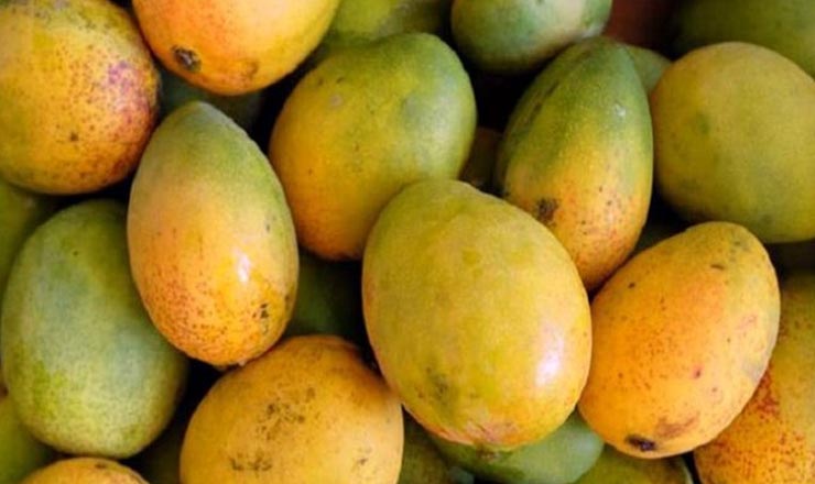 বাজার কার্বাইড দিয়ে পাকানো আম, কী ভাবে চিনবেন কৃত্রিম ভাবে পাকানো আম