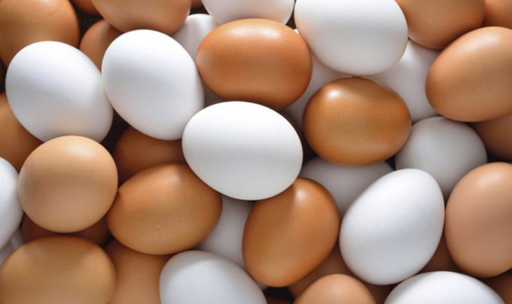 ডিমের দামে নতুন রেকর্ড