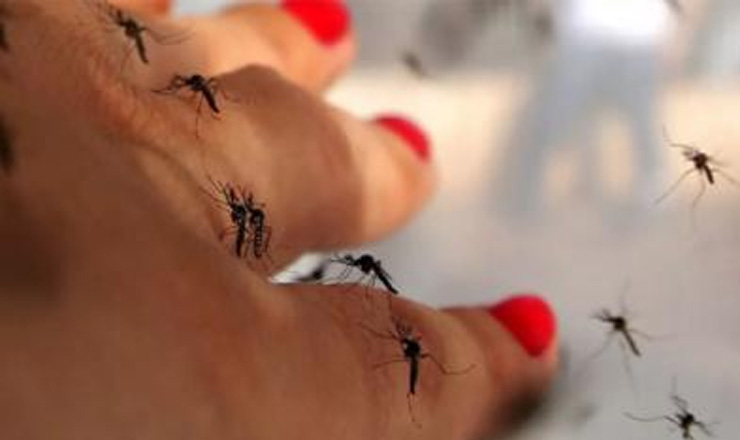 পুরুষদের কামড়াতেই বেশি পছন্দ করে মশারা, কারণ জানলে অবাক হবেন!