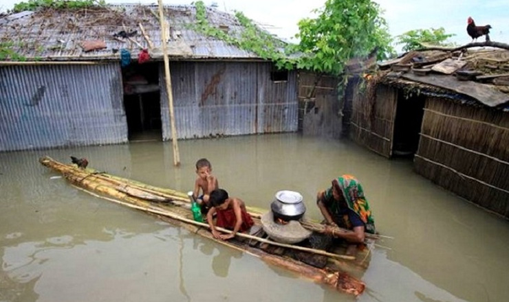 ১৫ দিন ধরে কলা গাছের ভেলায় সংসার রোকেয়ার