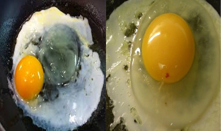 রক্তের দাগ বা হালকা নীলাভ রঙের ডিম খেলে কী হয়?