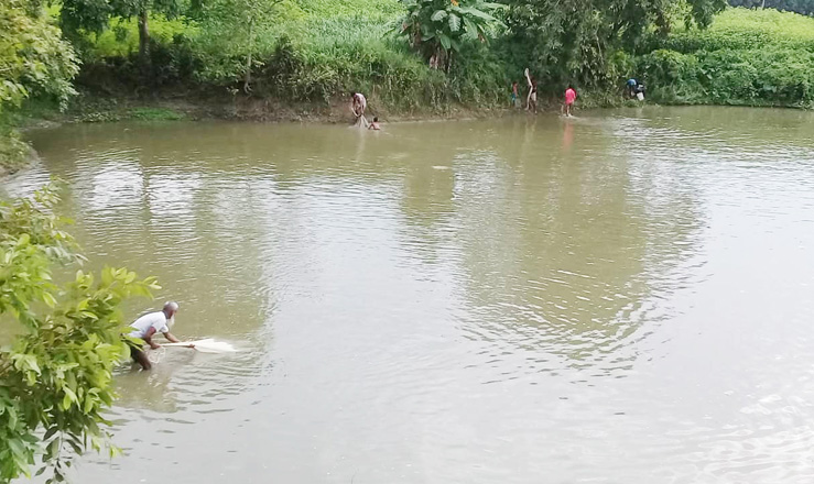বাগমারার জোঁকা বিল প্রকল্পে জোর পূর্বক মাছ লুটের অভিযোগ 