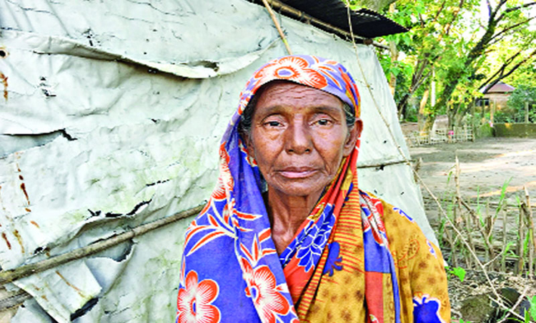 দুঃখ সইতে সইতে ক্লান্ত মনোয়ারা