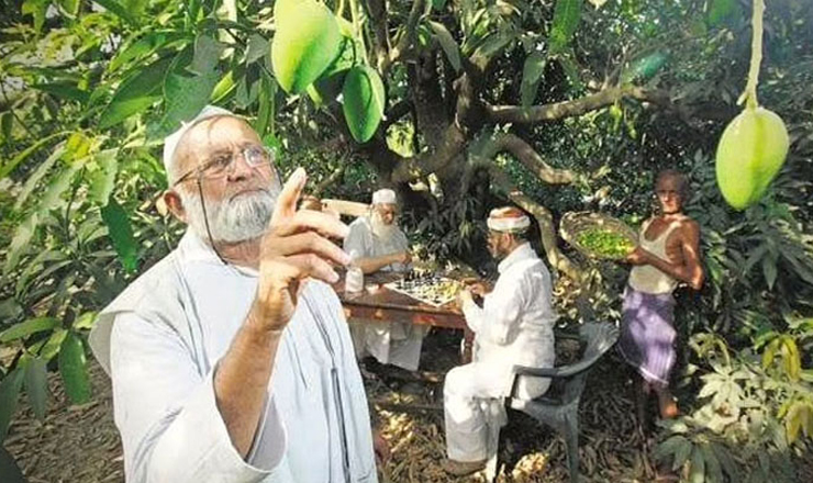 ঐশ্বরিয়া আম : ওজন এক কেজি, খেতেও মিষ্টি!