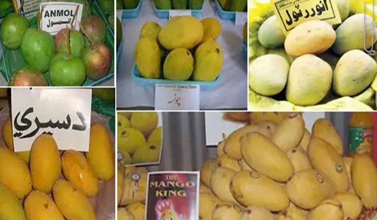 প্রধানমন্ত্রী‌র জন্য আম পা‌ঠি‌য়ে‌ছে পা‌কিস্তান