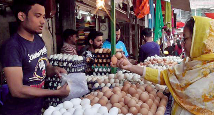 এক ডিমের দাম ১৪ টাকা