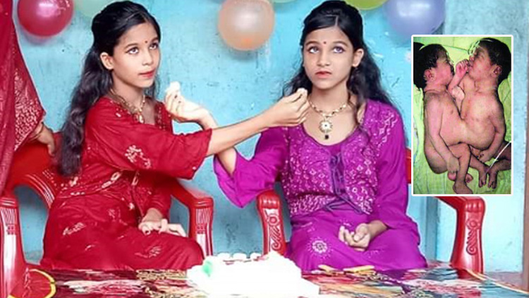 সেই মণি-মুক্তা এখন ১৪ বছরের কিশোরী