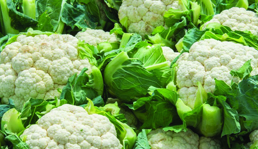 যাদের জন্য ফুলকপি খাওয়া ঠিক নয়