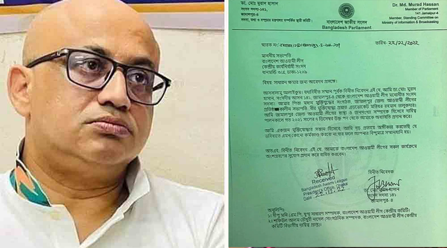 ক্ষমা চেয়ে প্রধানমন্ত্রীর কাছে মুরাদ হাসানের আবেদন