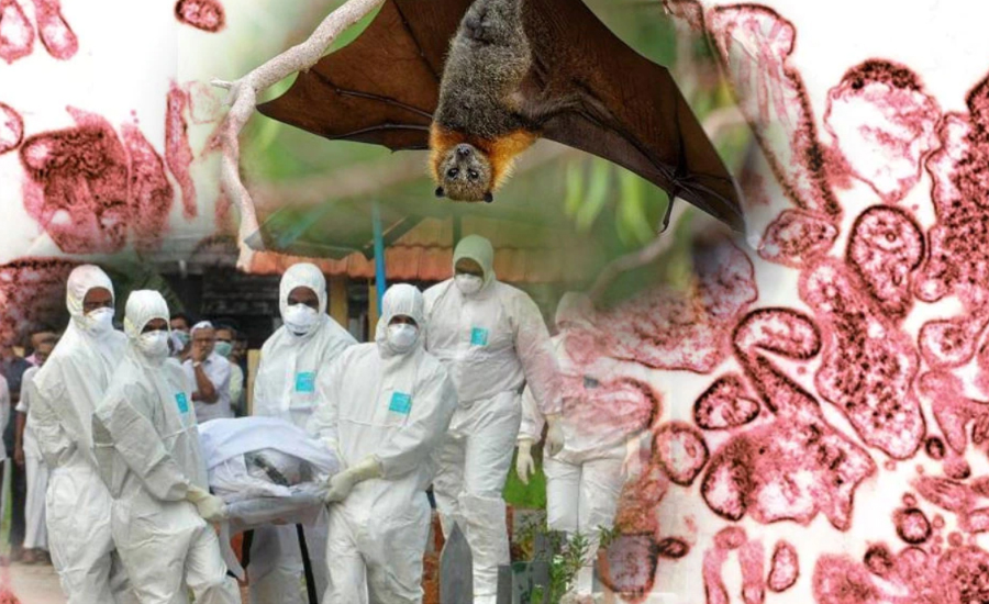 নিপাহ ভাইরাসে একজনের মৃত্যু, খেজুরের রস পানে সতর্কতা