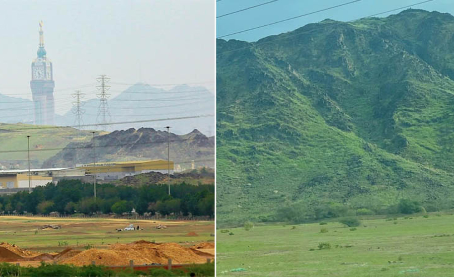 বৃষ্টির পর সবুজে ছেয়ে গেছে মক্কার পাহাড় 