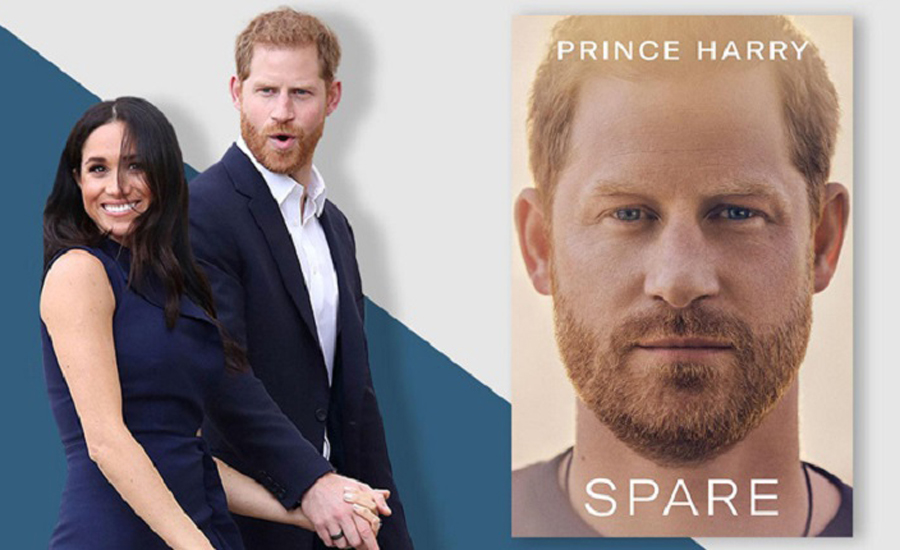  রাজপরিবারকে কি মাটিতে টেনে নামালেন হ্যারি?