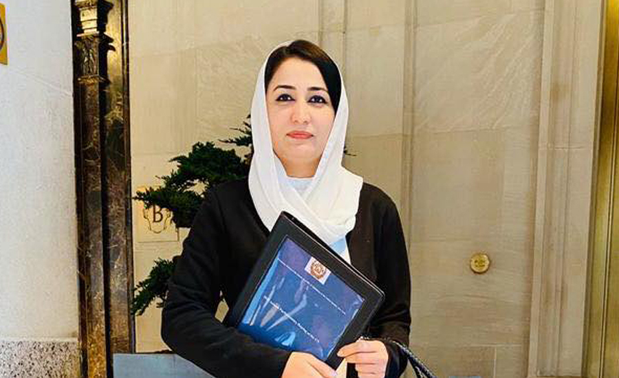 আফগানিস্তানে দেহরক্ষীসহ সাবেক নারী এমপিকে গুলি করে হত্যা