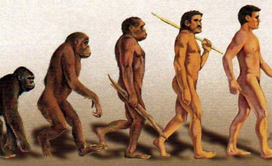 পাঠ্যবই থেকে বাদ যাচ্ছে ডারউইনের তত্ত্ব!